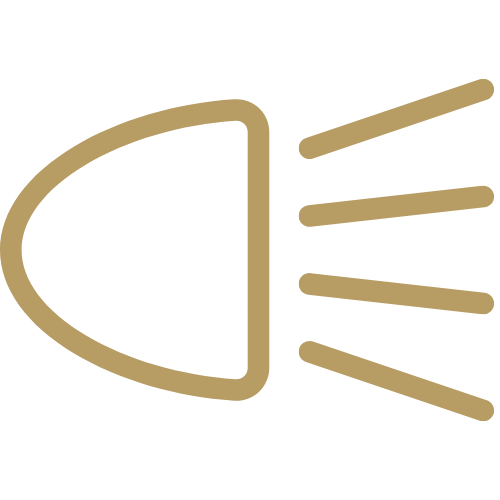 Sensibilidade à luz